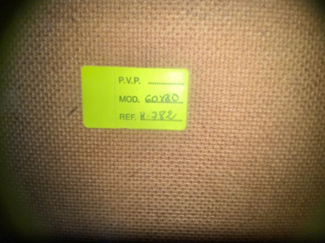 cuadro the pigeons Pablo Picasso