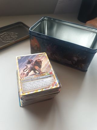 Cartas y caja Fantasy Biders