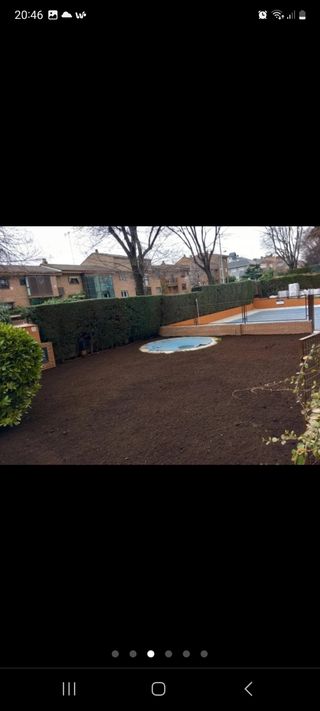 Jardinero con experiencia