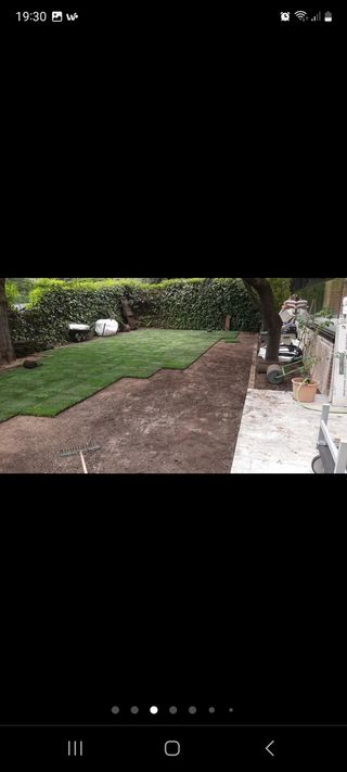 Jardinero con experiencia