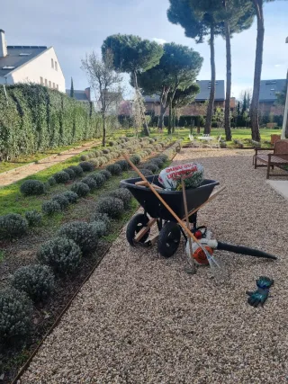 Jardinero con experiencia