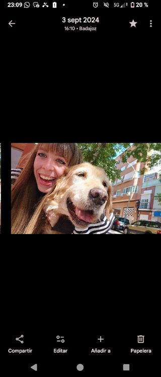 Cuidadora de perros y otros animales