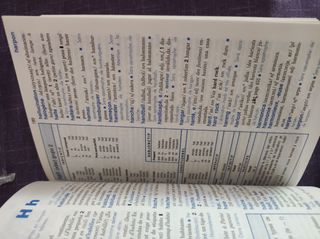 Diccionario frances-español DICO