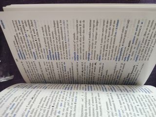 Diccionario frances-español DICO