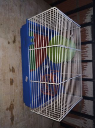 Jaula hamster