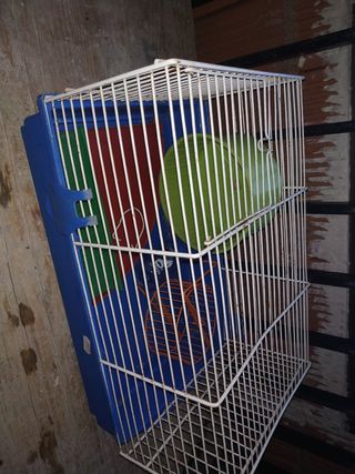 Jaula hamster