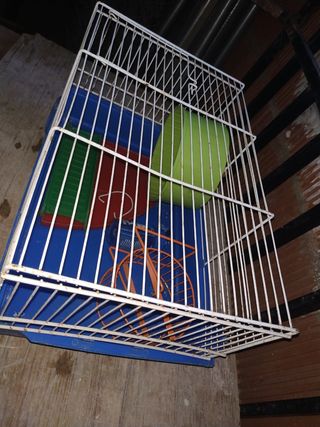 Jaula hamster