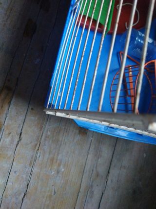 Jaula hamster