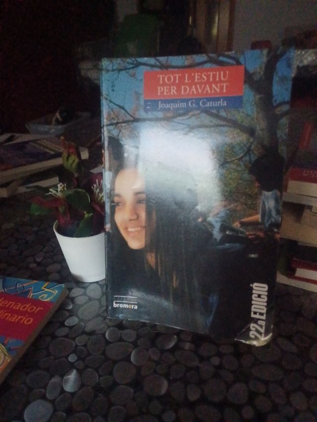 Tot l' estiu per davant