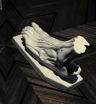 Pie anatómico ecorché