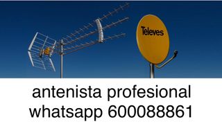 Antenista profesional