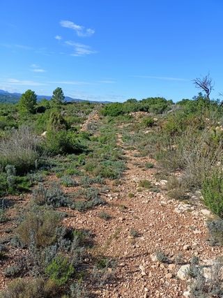Terreno rústico en venta Alcalá de Xivert