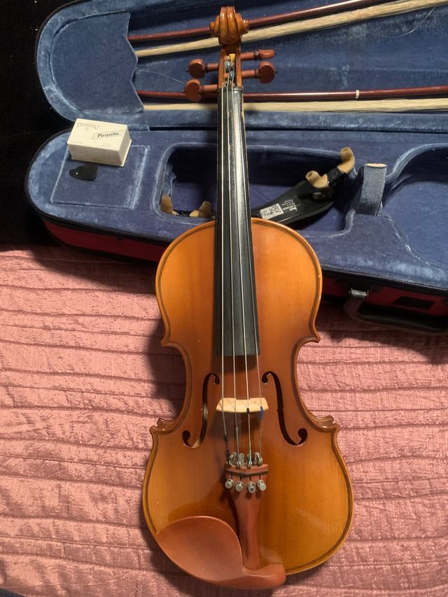 viola
