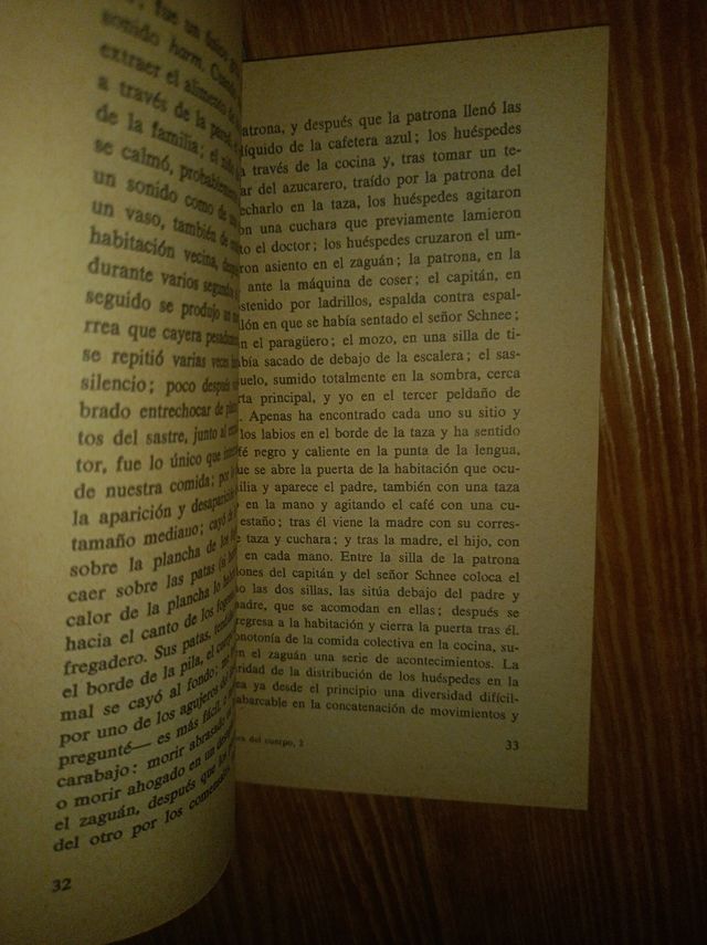 La sombra del cuerpo del cochero