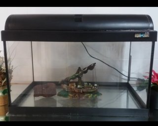 Acuario de 35 litros