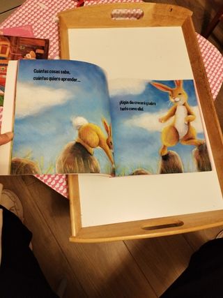 Libros finitos infantiles