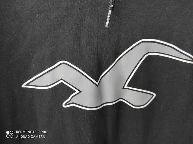 Hollister felpa uomo