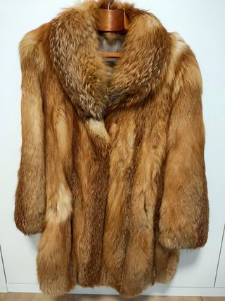 Abrigo de Zorro Rojo 