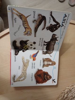 Animales salvajes susaeta