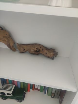 Troncos Mopani para acuarios