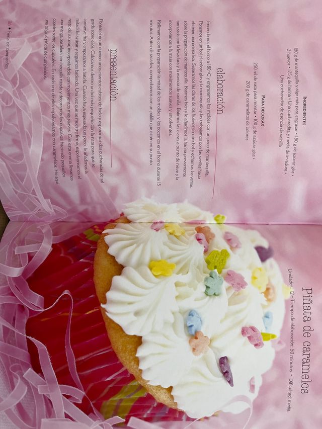 2 Libros de reposteria