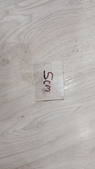 EXPOSITORES DE METRAQUILATO