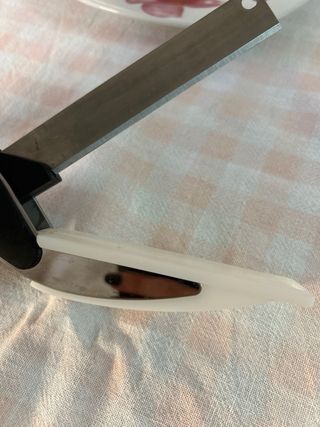 Forbici taglia verdure