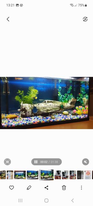 Acuario para peces