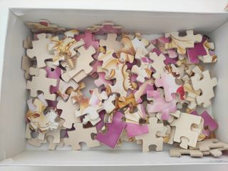 Lote puzzle y Magnetic de Princesas Disney