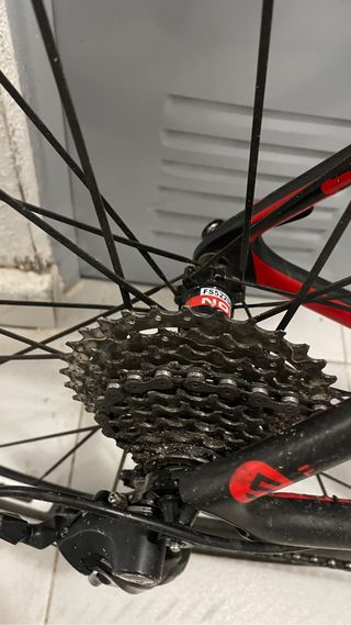 Bici carretera carbono Felt F5 ruedas perfil 50 mm