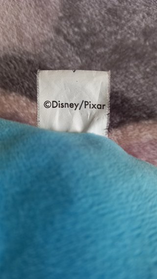 2 Cuscini disney