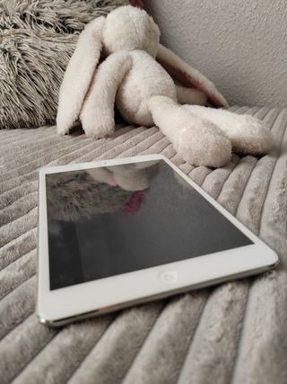 IPad mini 2