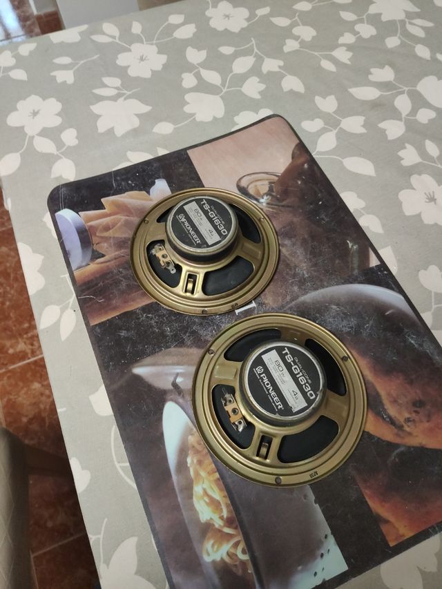 Altavoces pioneer