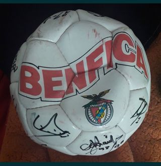 Camisola Shell adidas Benfica + bola  ass. Eusebio