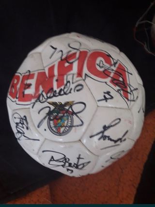 Camisola Shell adidas Benfica + bola  ass. Eusebio