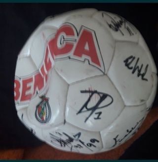 Camisola Shell adidas Benfica + bola  ass. Eusebio