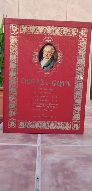 Libro Obras De Goya