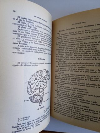 5 DE FILOSOFÍA ORIENTAL YOGA BUDISMO BHAGAVAD-GITA