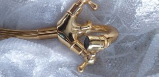 Grifo oro