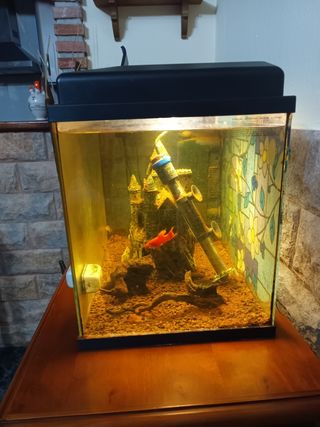 Acuario 30 litros