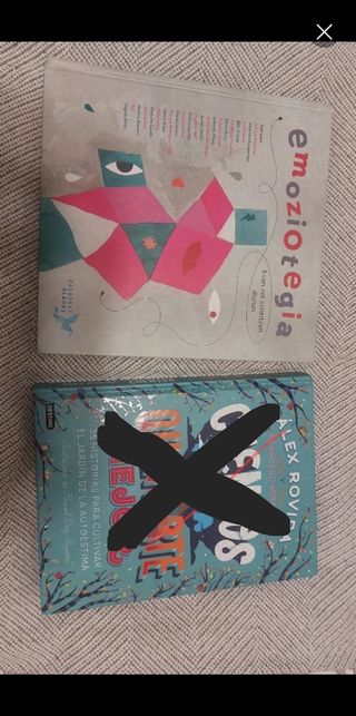 Libros emocionales niños