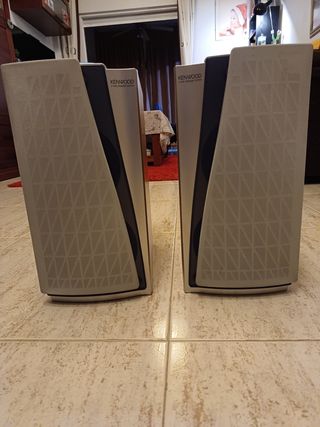Equipo música con 2 altavoces y mando