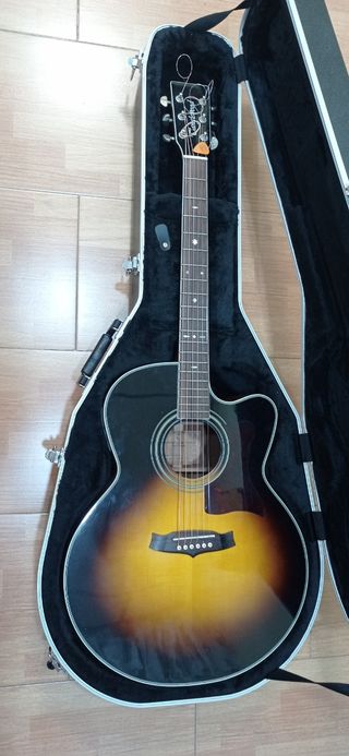 Estuche para guitarra acústica