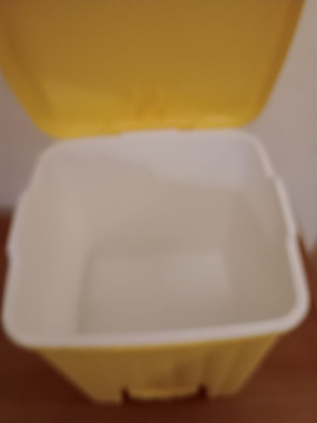 Cestino pattumiera bagno