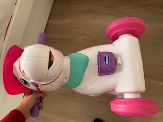 Miss rodeo chicco and friends