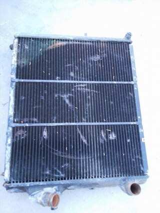 Radiador agua Renault Clio I (1990-1998) 1 c_02883