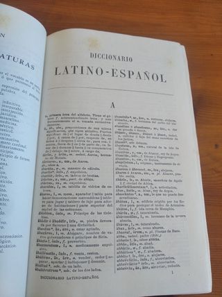 Diccionario latín