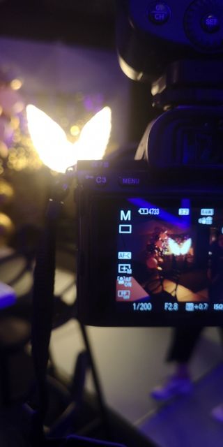 Fotógrafo y Cámara Profesional