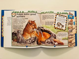 Libro infantil  EN INGLÉS First book of Animals
