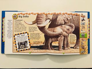 Libro infantil  EN INGLÉS First book of Animals